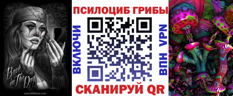 Галлюциногенные грибы мицелий  Белозерск 